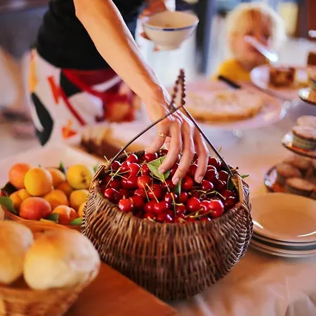 Charming House In With Shared Pool And Terrace 펜션 비에스테