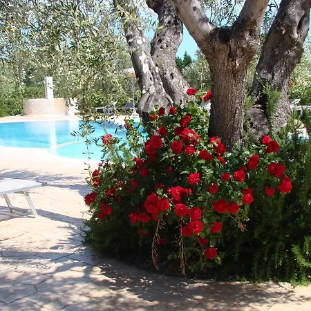Charming House In With Shared Pool And Terrace